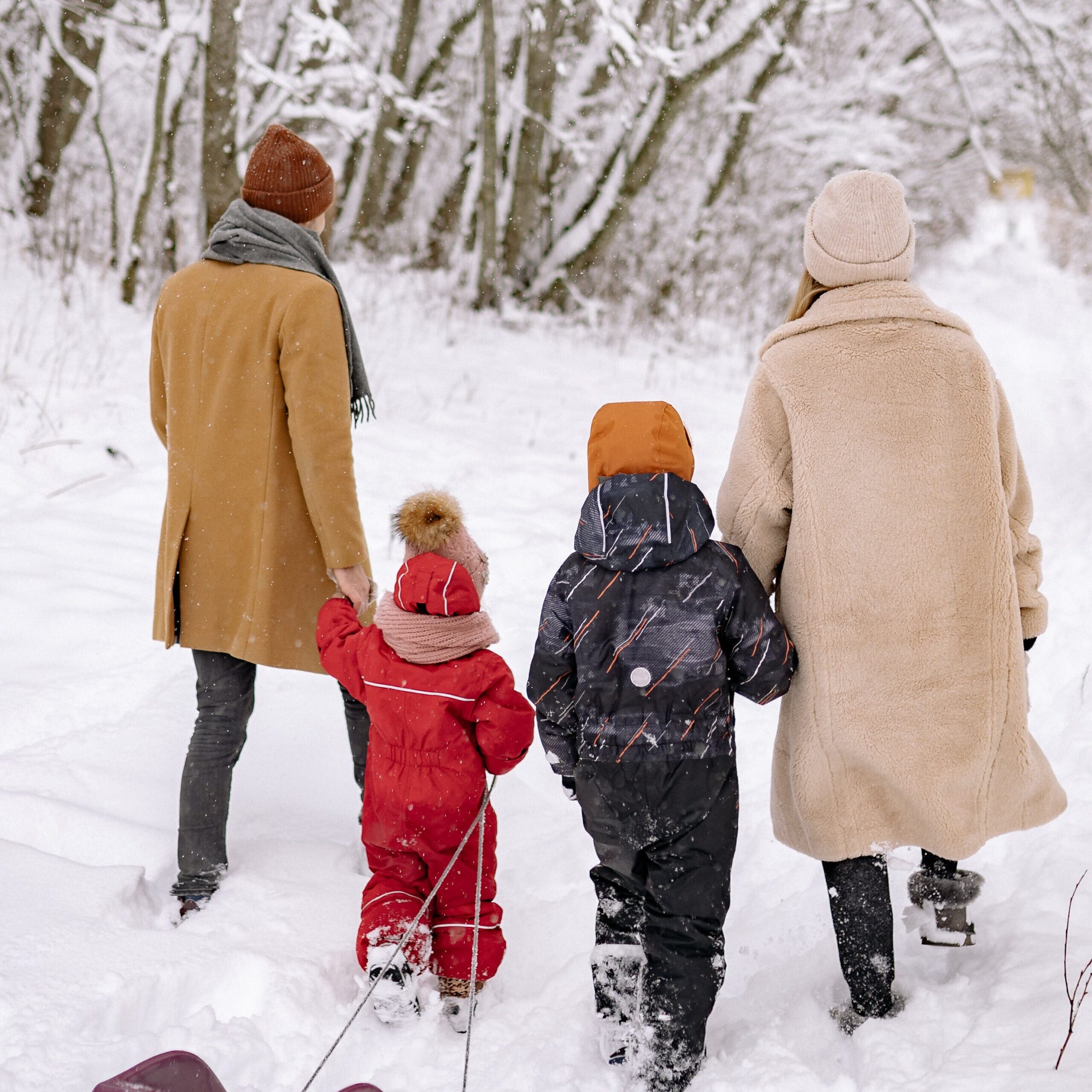  Residential Family In the winter Photo by Yan Krukau: https://www.pexels.com/photo/back-view-of-a-family-in-winter-clothes-walking-on-a-snow-covered-ground-6617800/